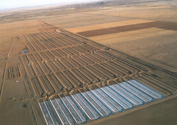 Sapphire Energy’s Green Crude Farm achieved first-phase operation earlier this week in Columbus, N.M.
