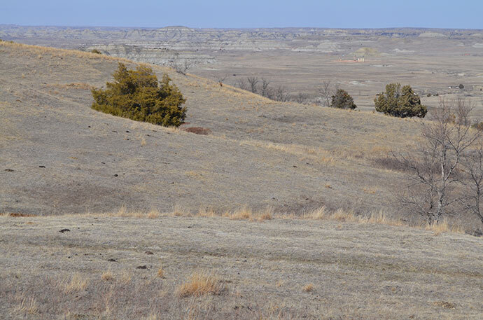 BakkenBadlands