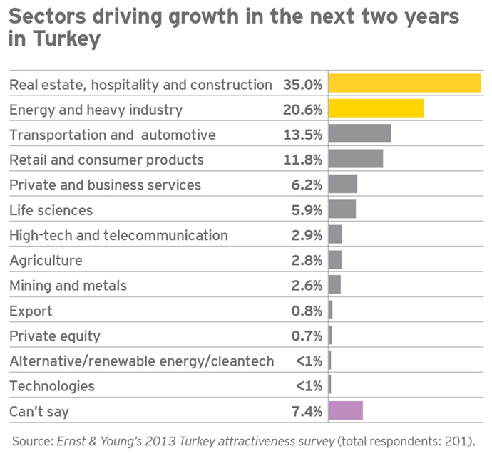 graph_18_SectorsDrivingGrowth_Turkey_V1