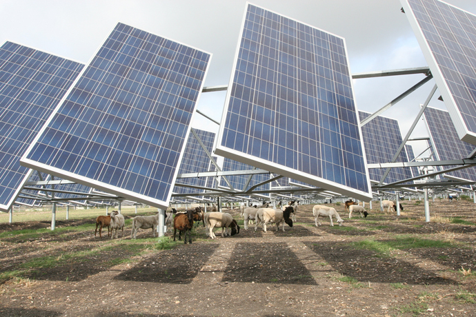 RENEWABLES